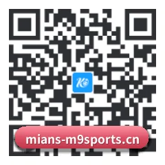 系统版 iOS 二维码
